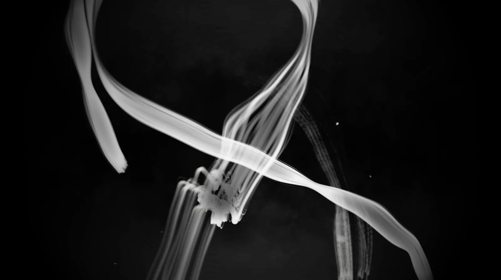 Intertwined white paint ribbons crossing in black space, still from the Paintscape loop