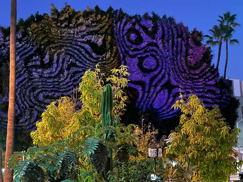 Purple swirling patterns projected onto a large tree canopy at dusk, Culver City Arts Festival
