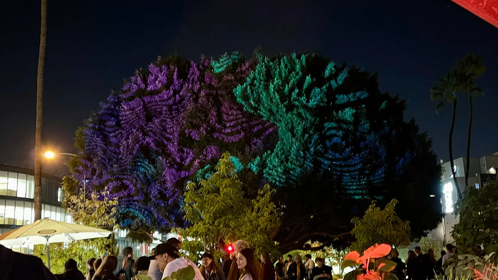 Crowd beneath a tree canopy mapped with purple and teal patterns at night, Culver City Arts Festival