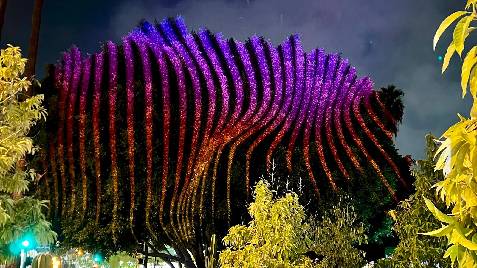 Rainbow vertical stripes projected over a tree canopy at night, Culver City Arts Festival