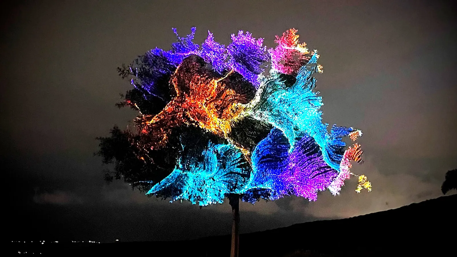 Solitary tree canopy mapped with blue, orange and purple organic patterns at night