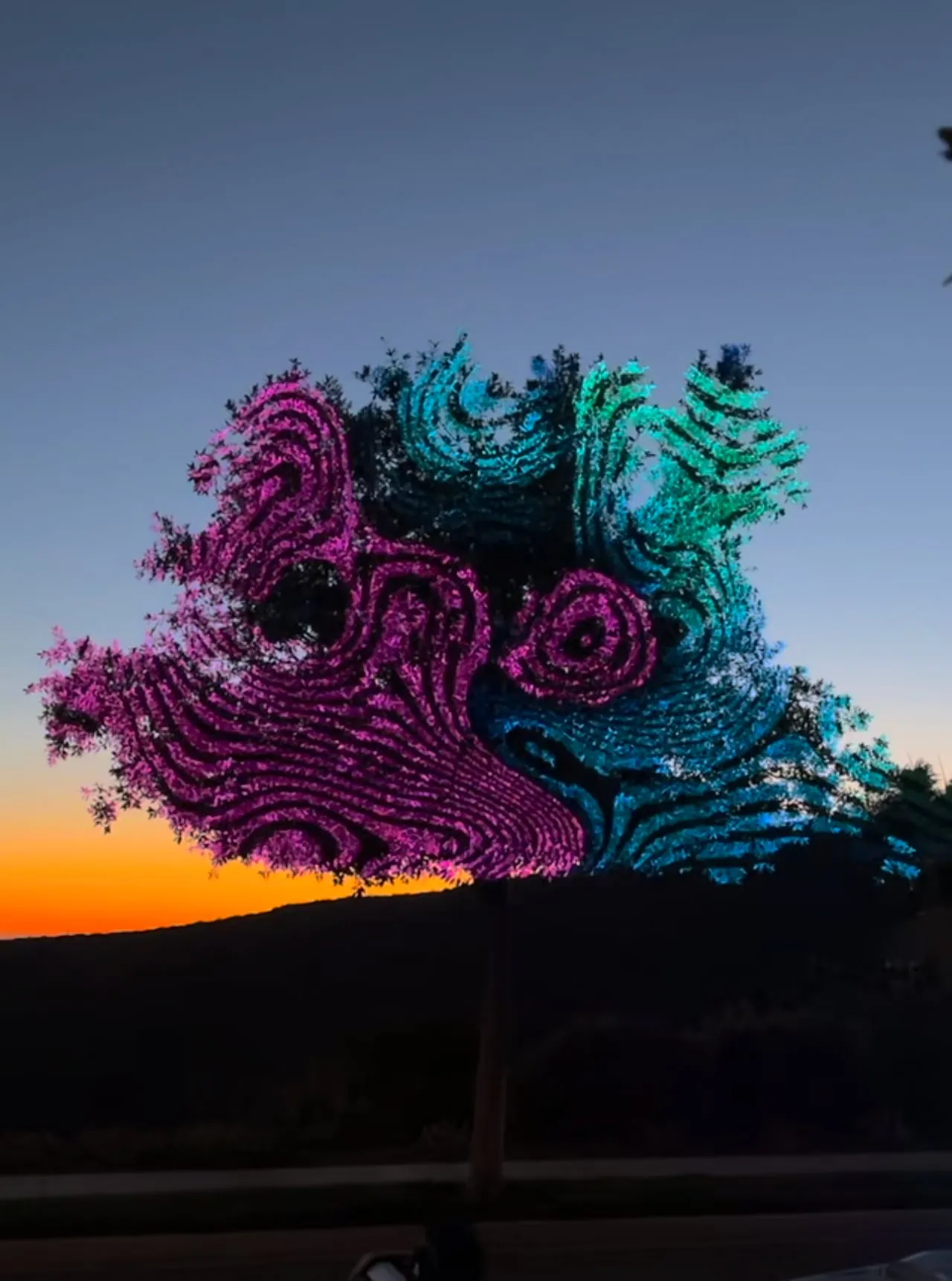 Tree canopy mapped with swirling pink and teal patterns against a sunset sky