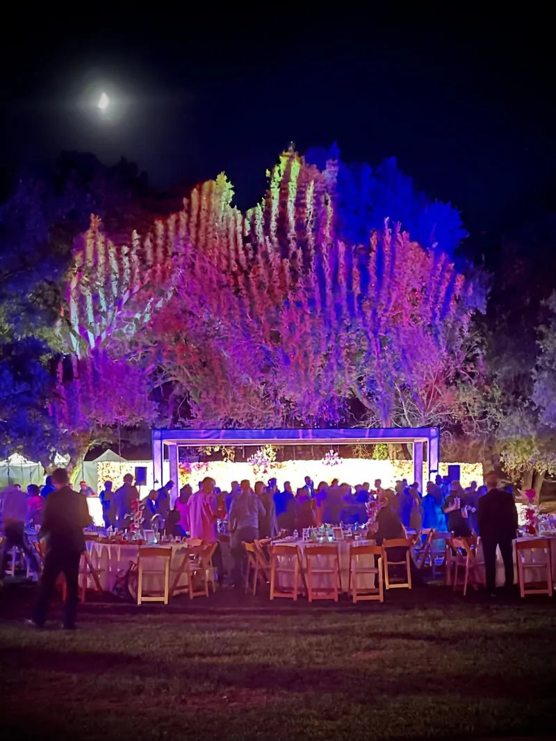 Wedding guests at tables beneath trees lit with pink and purple projected particle patterns, Malibu