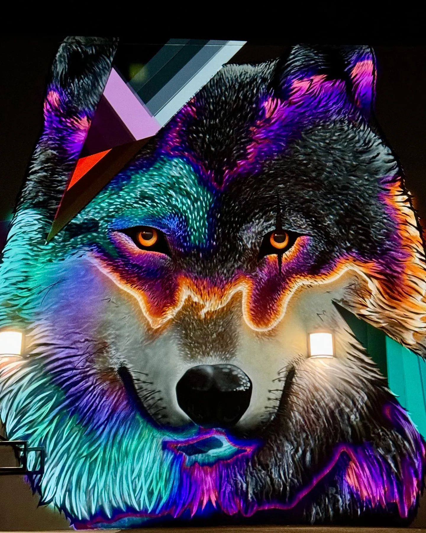 Painted wolf mural lit with rainbow projected light tracing its fur