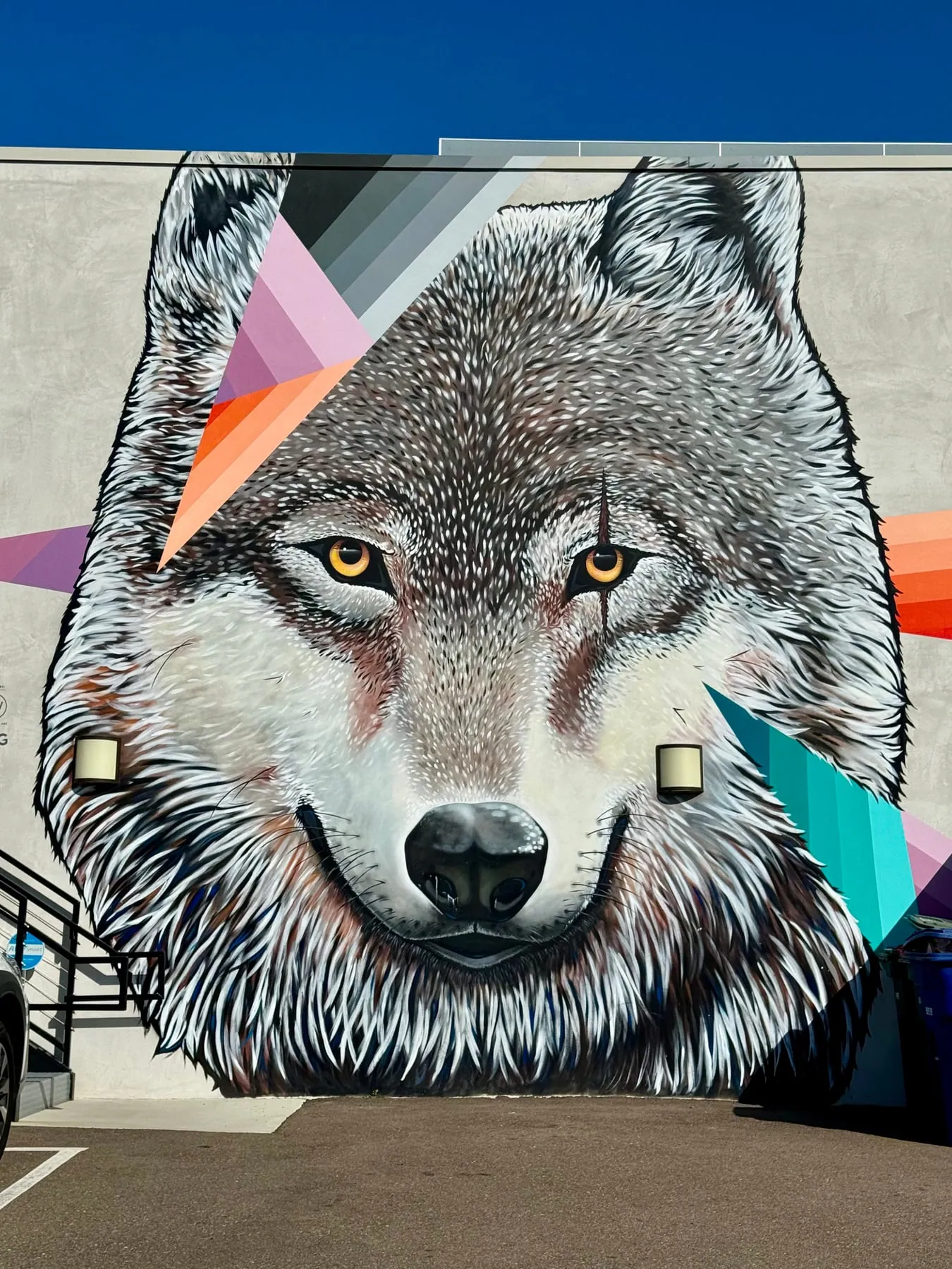 Painted wolf mural on a building wall in daylight, without projection